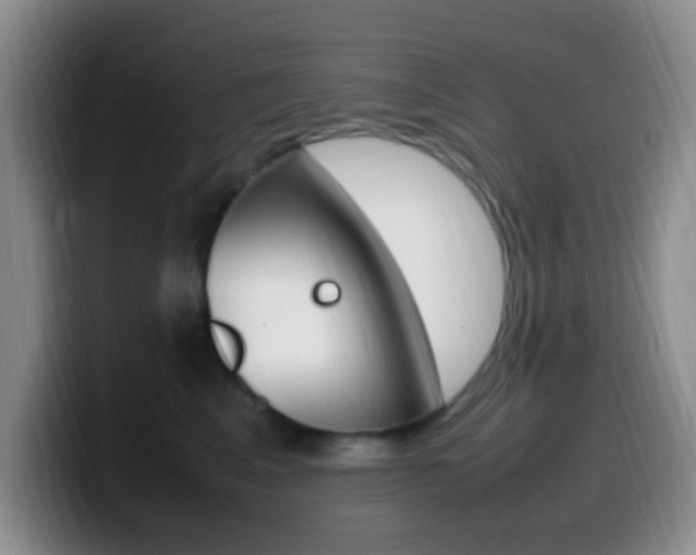 X0000099980617200805231024