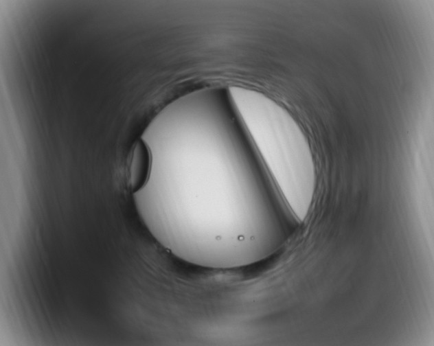 X0000099980619200805231024