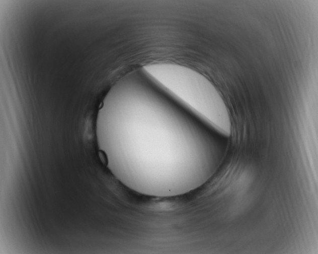X0000099980620200805231024