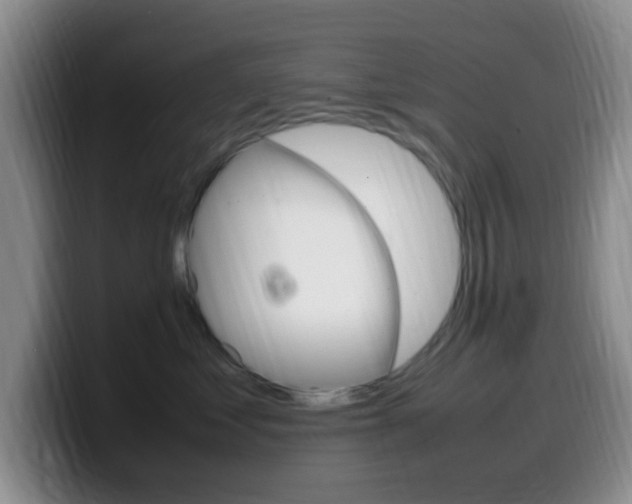 X0000099980621200805231024