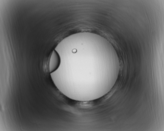 X0000099980622200805231024