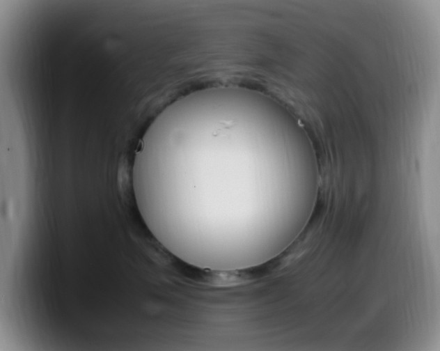 X0000099980623200805231024