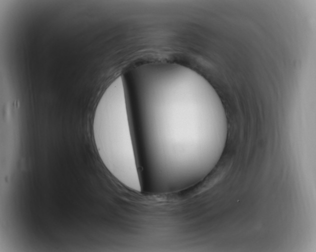 X0000099980624200805231024