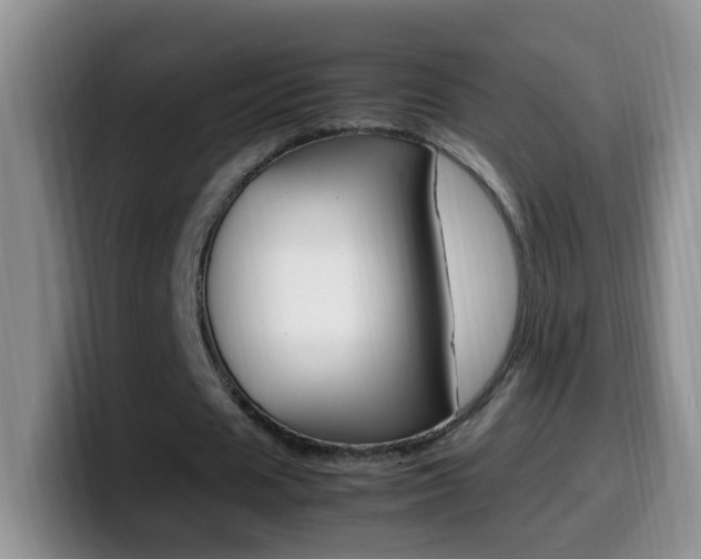 X0000099980625200805231024