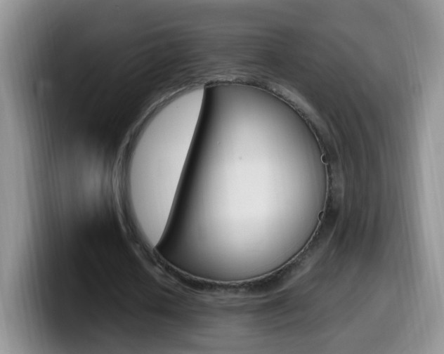 X0000099980626200805231024