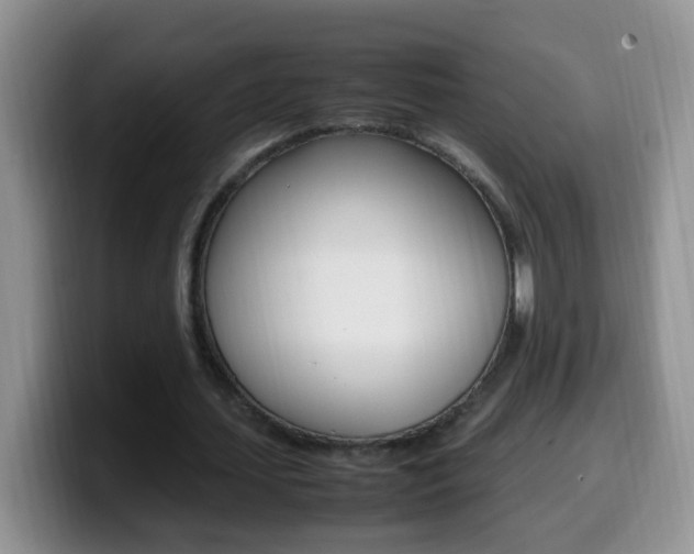 X0000099980627200805231024