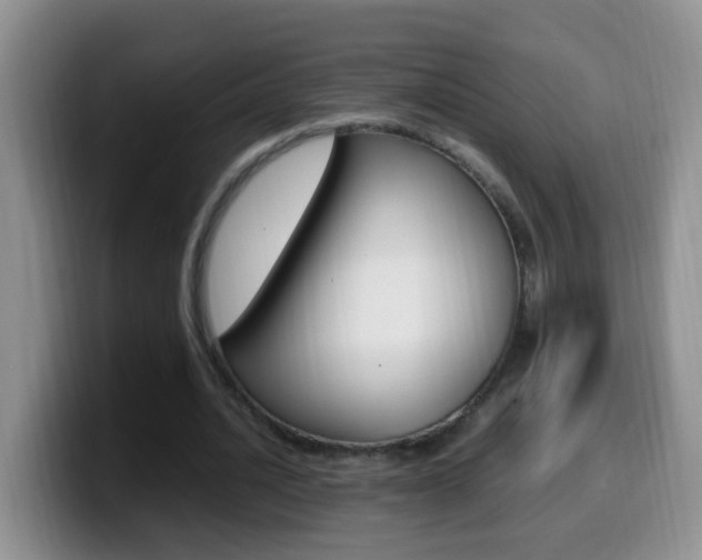 X0000099980628200805231024