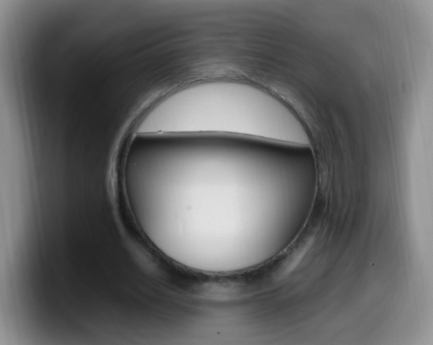 X0000099980630200805231024
