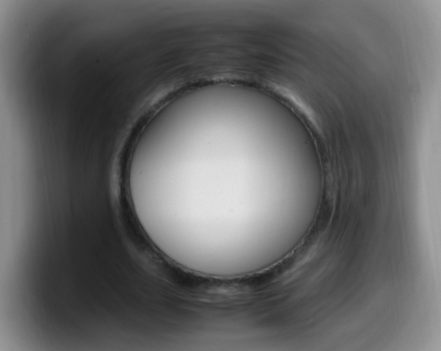 X0000099980631200805231024