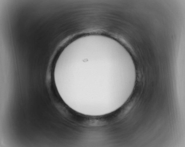 X0000099980632200805231024