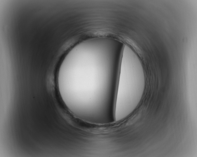 X0000099980634200805231024