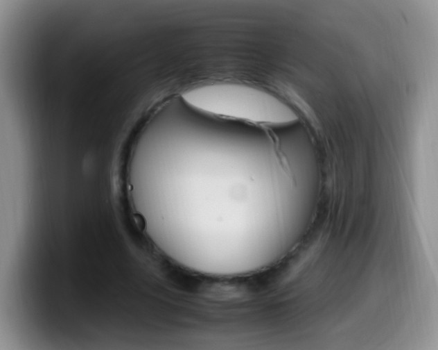 X0000099980635200805231024