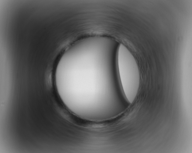 X0000099980638200805231024