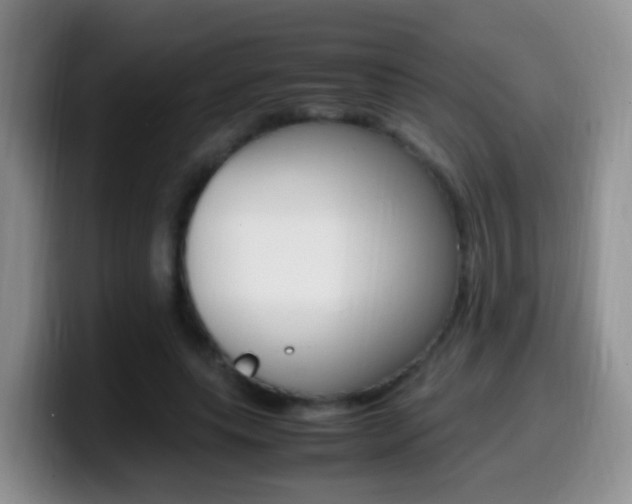 X0000099980639200805231024