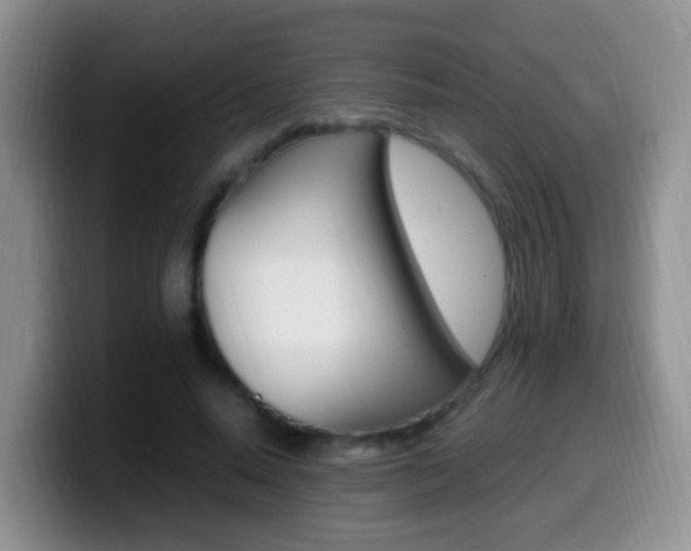 X0000099980640200805231024