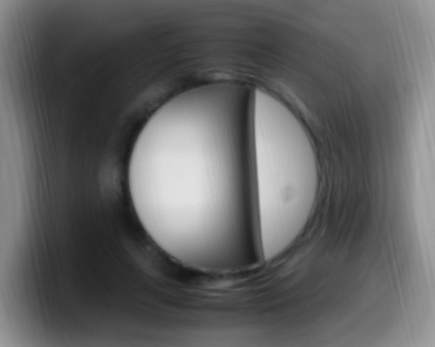 X0000099980643200805231024