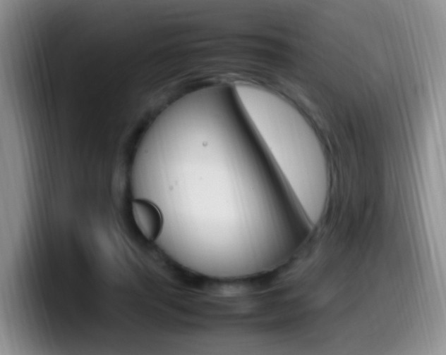 X0000099980645200805231024
