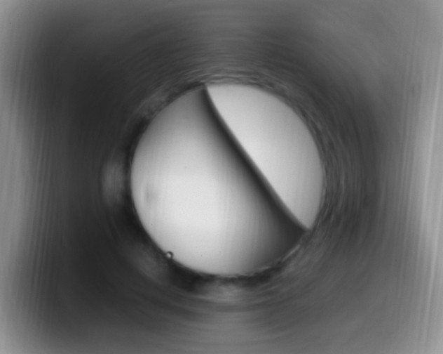 X0000099980648200805231024
