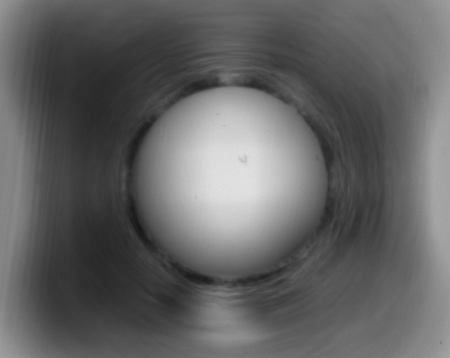X0000099980650200805231024