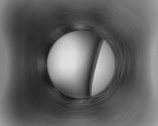 X0000099980651200805231024