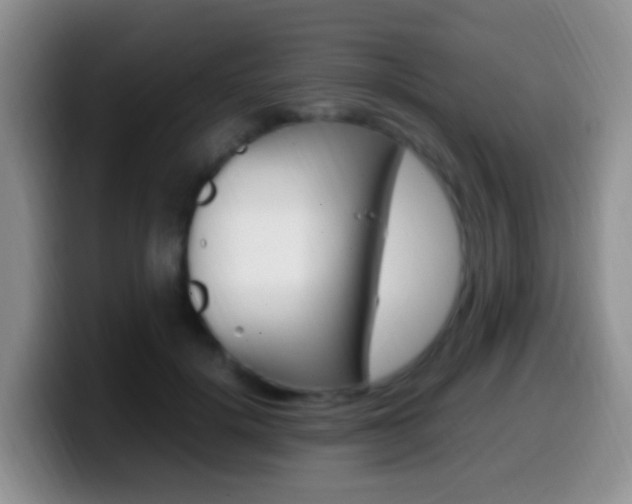 X0000099980652200805231024