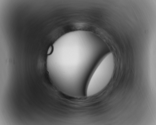 X0000099980653200805231024