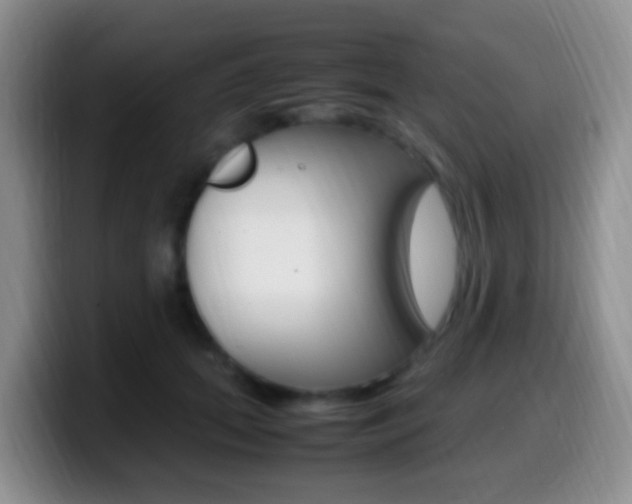 X0000099980655200805231024