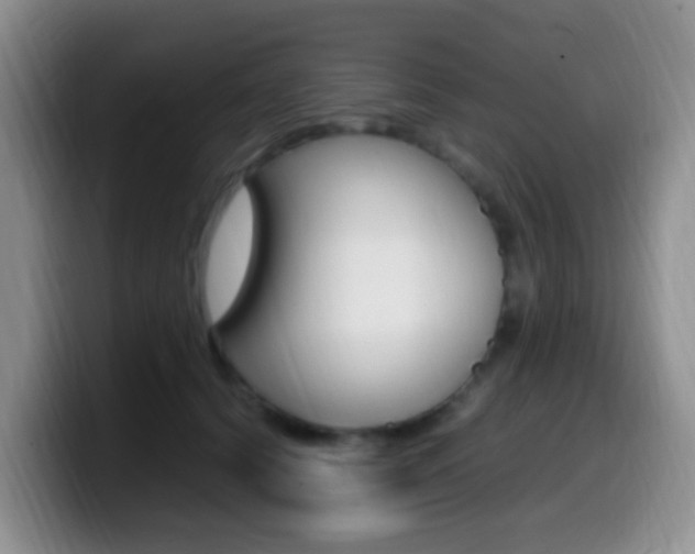 X0000099980656200805231024