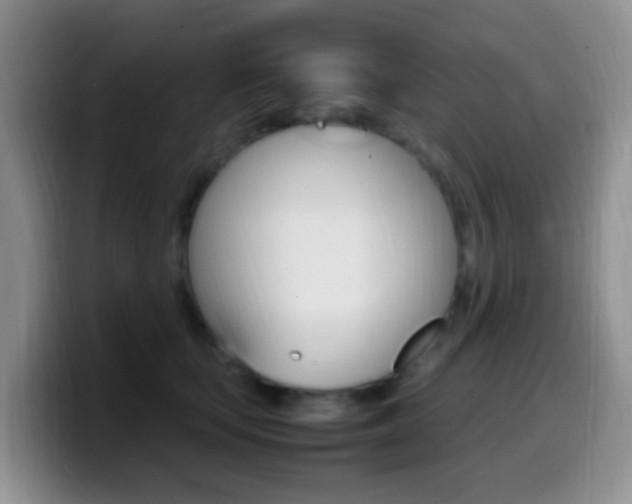 X0000099980659200805231024