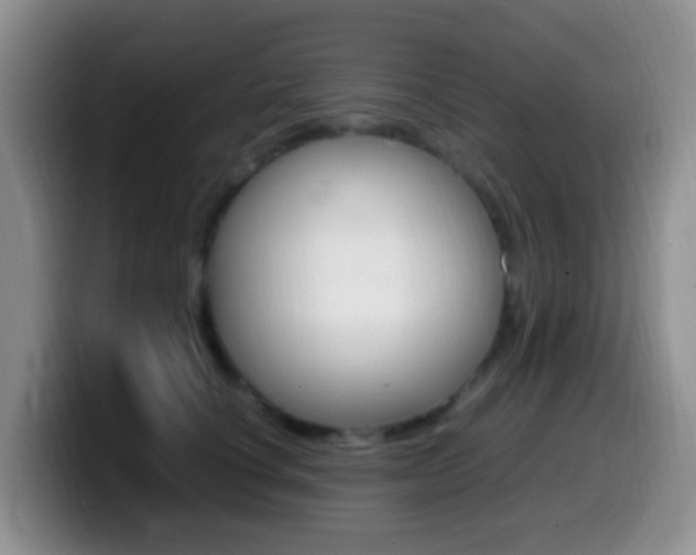 X0000099980660200805231024