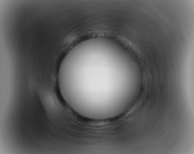 X0000099980661200805231024