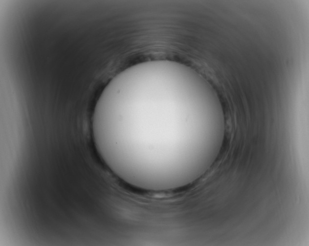 X0000099980662200805231024