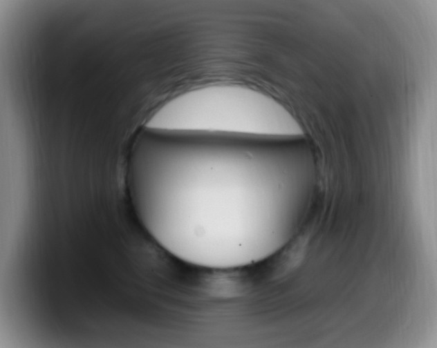 X0000099980664200805231024