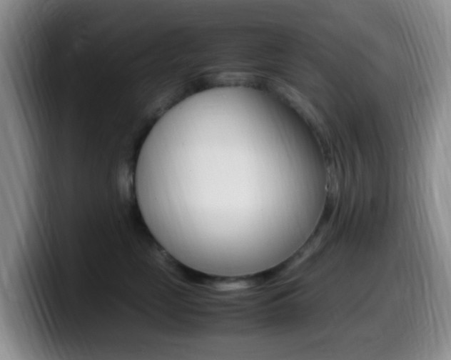 X0000099980669200805231024