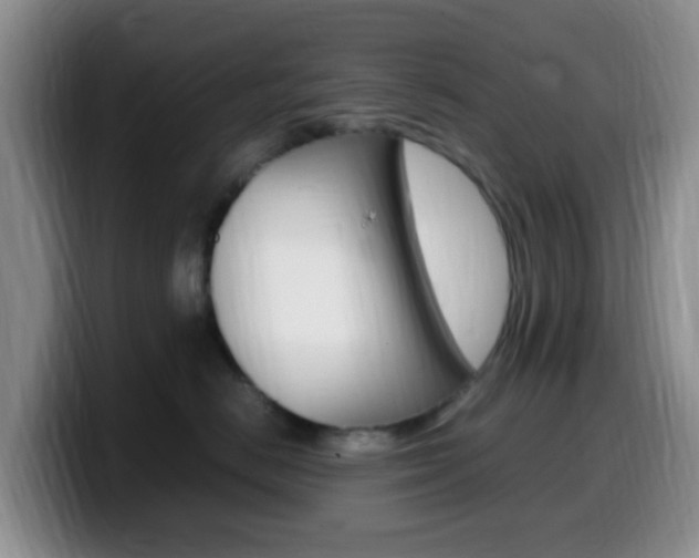 X0000099980670200805231024