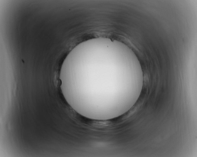 X0000099980671200805231024