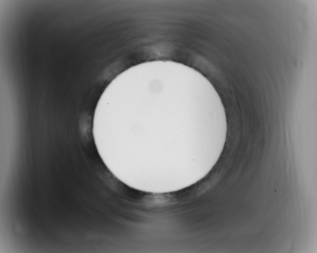 X0000099980672200805231024