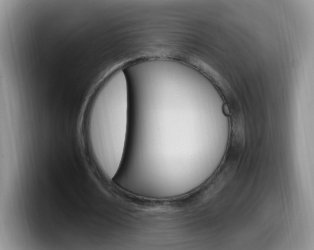 X0000099980674200805231024