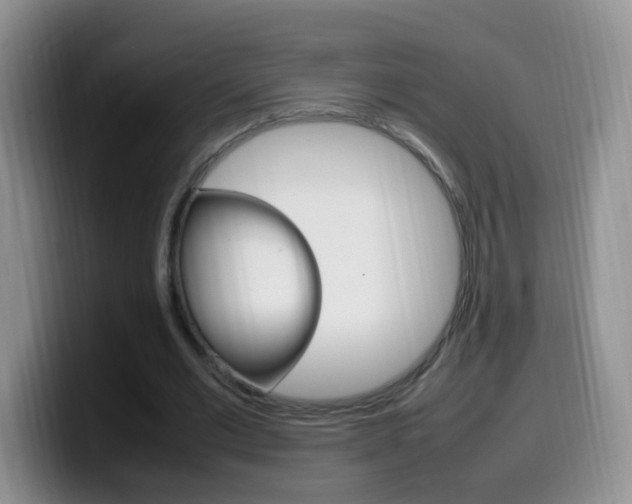 X0000099980677200805231024