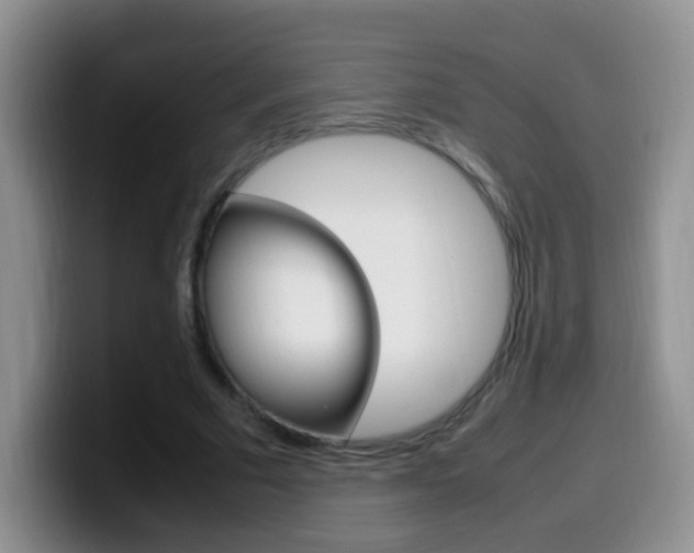 X0000099980681200805231023