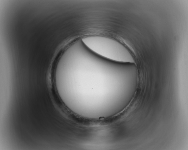 X0000099980682200805231023