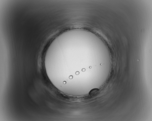 X0000099980683200805231023