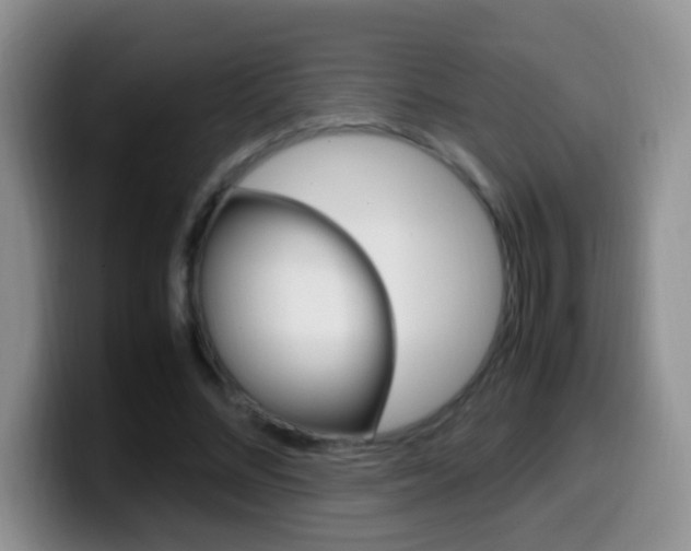 X0000099980684200805231023