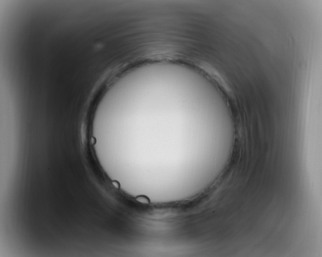 X0000099980686200805231023