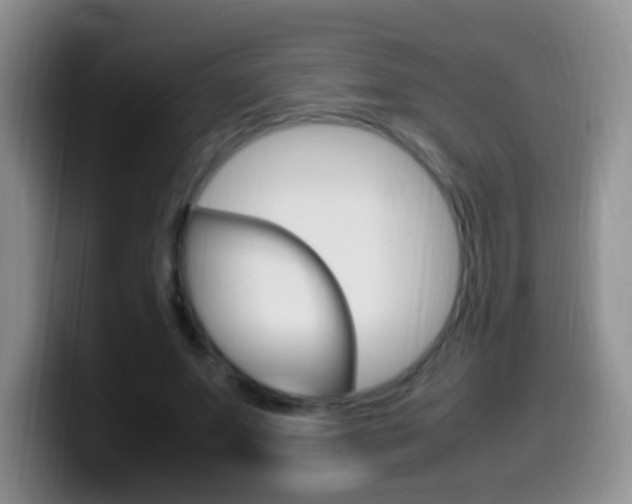 X0000099980687200805231023