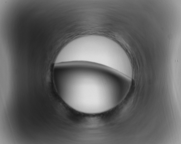 X0000099980689200805231023