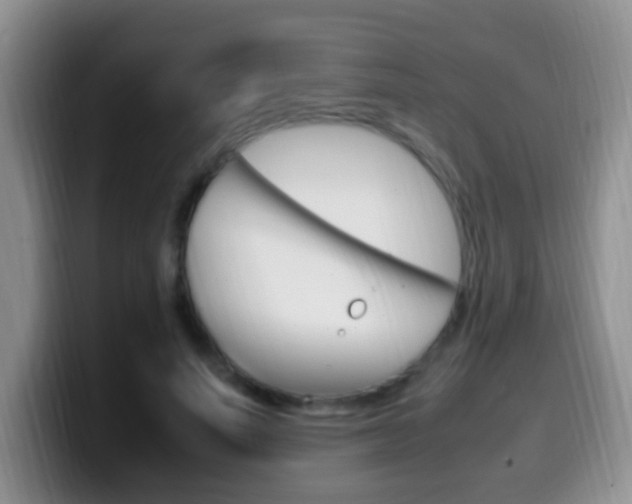 X0000099980691200805231023