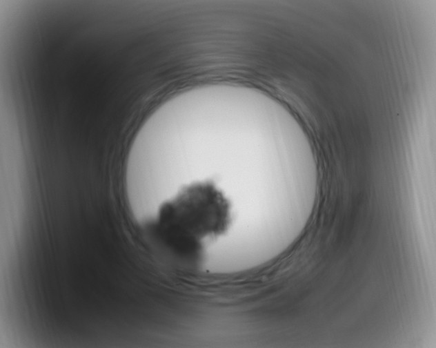 X0000099980693200805231023