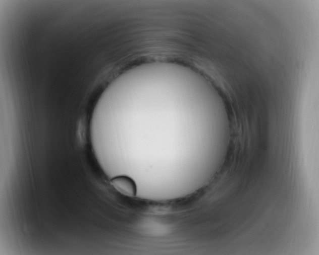 X0000099980694200805231023