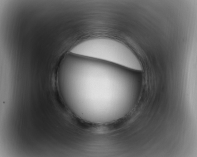 X0000099980696200805231023